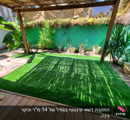 עציצים עם צמחים, דשא סינתטי, צינור השקיה